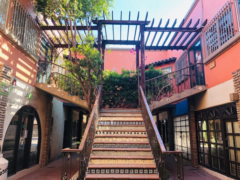 25601 notaria publica no 5 768x576