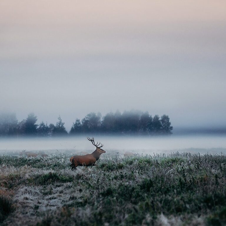 25856 notaria publica 15 768x768