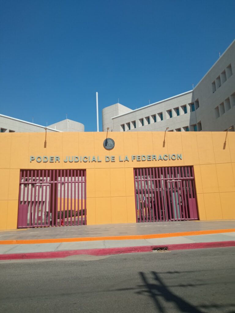 25998 mc abogados los cabos consultas juridicas 768x1024