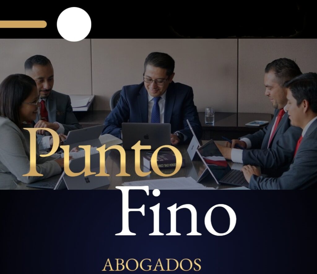 26030 punto fino abogados s.c 1024x887