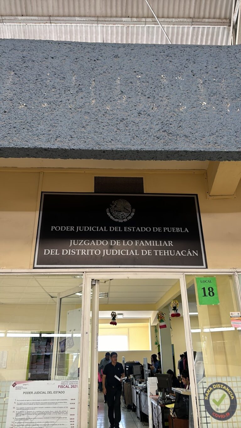 26261 abogado de tehuacan puebla 768x1365
