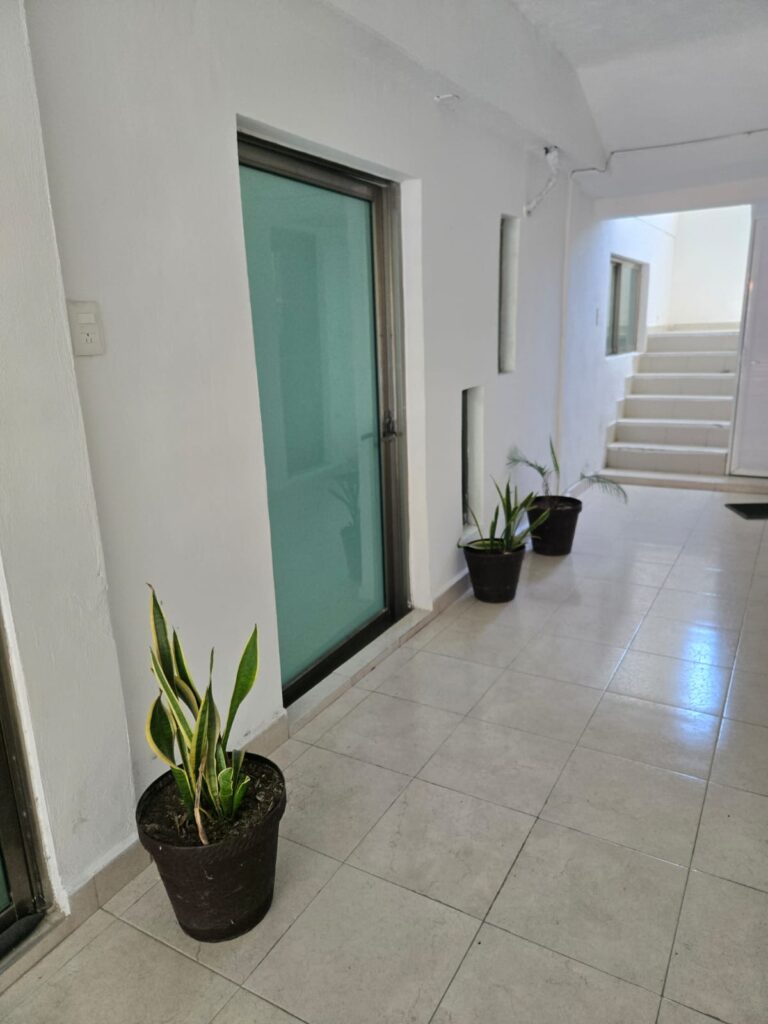 26268 anahi prieto graniel 768x1024