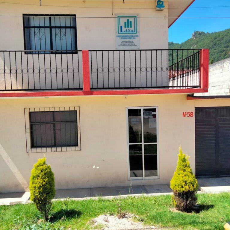 26447 lina contadores 768x768