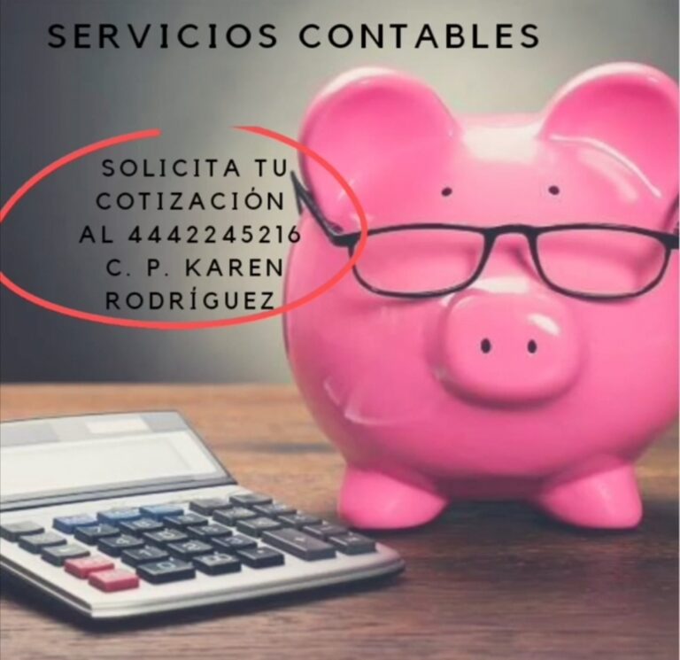 26700 contador publico karen rodriguez 768x745