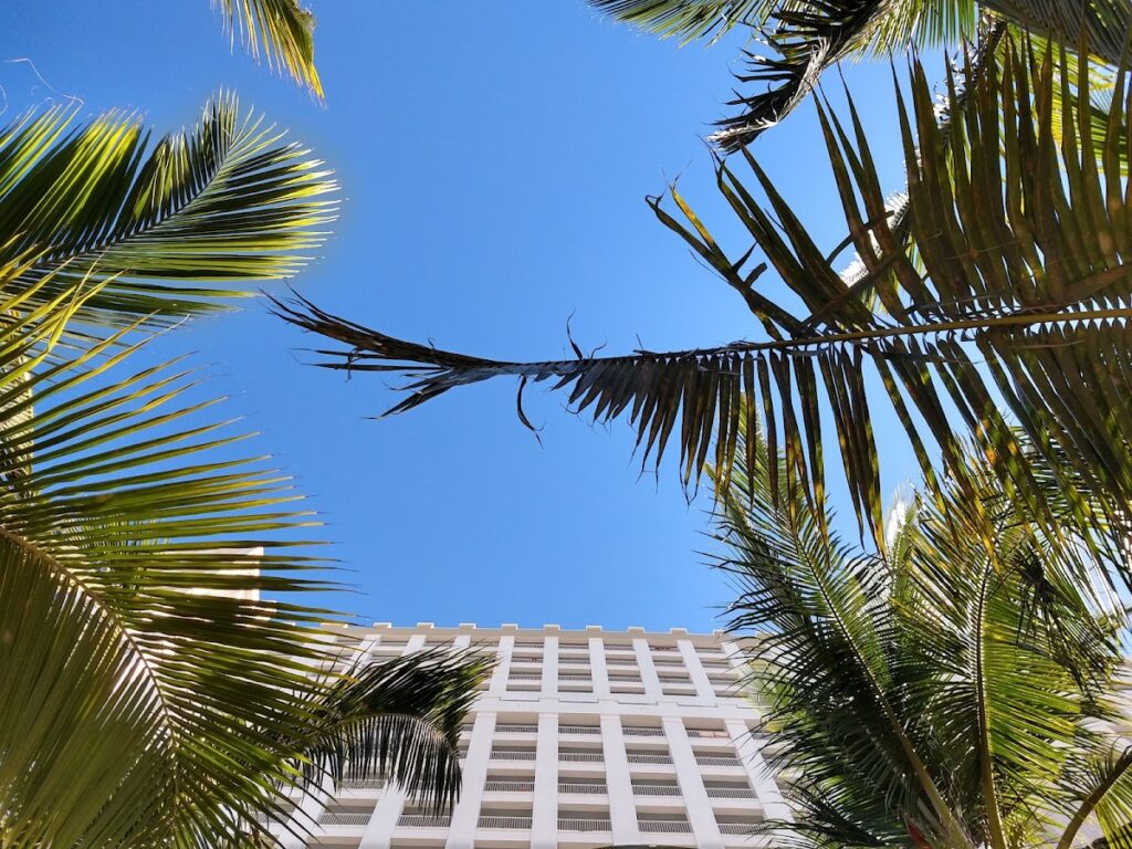 26986 viajes miranda 1024x768