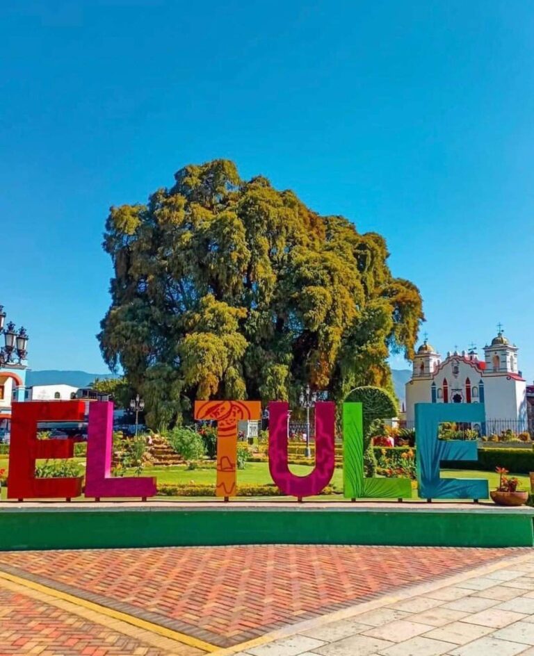 27047 tour y viajes oaxaca 768x944