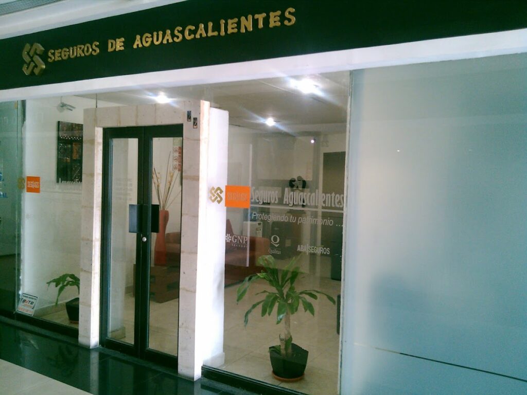 27208 seguros y fianzas aguascalientes 1024x768