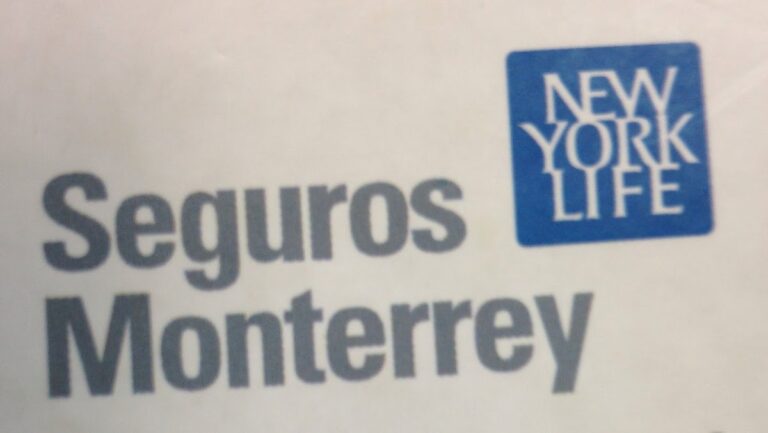 27367 seguros monterrey new york life 768x433