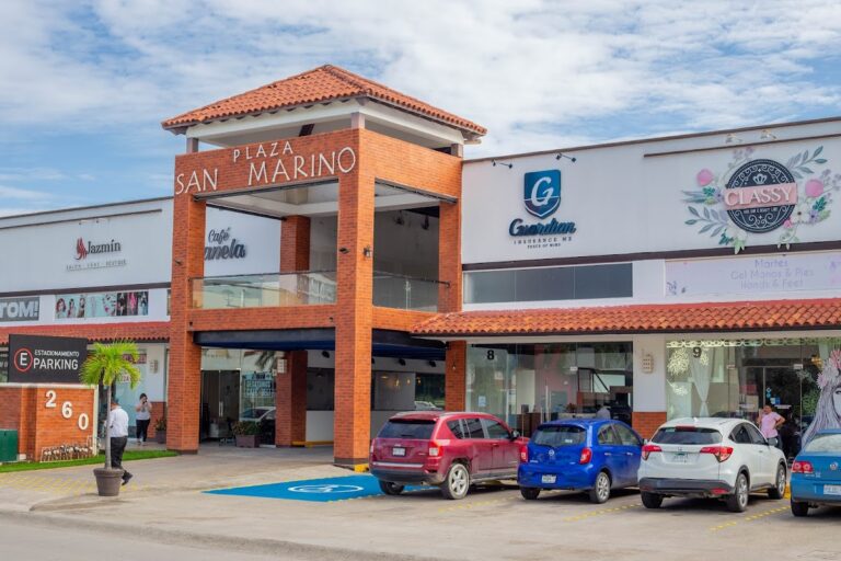 27384 guardian insurance mx 768x512