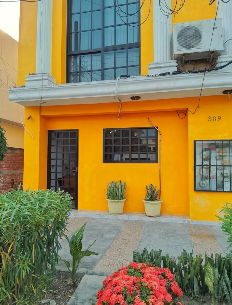 27615 gnp seguros 768x1008