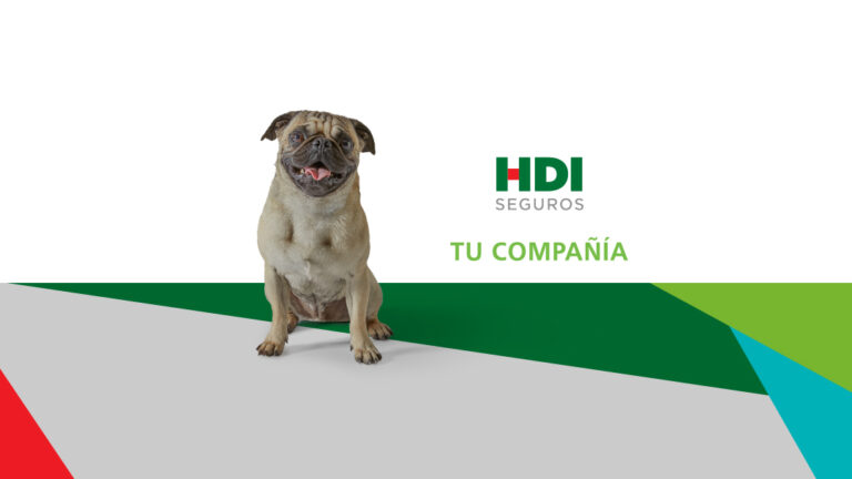 27641 hdi seguros zacatecas 768x432