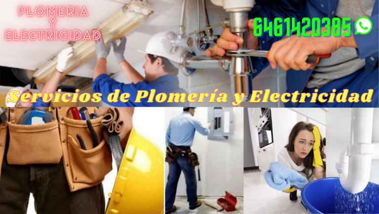 27652 servicio de paqueteria y mensajeria ensenada 768x433