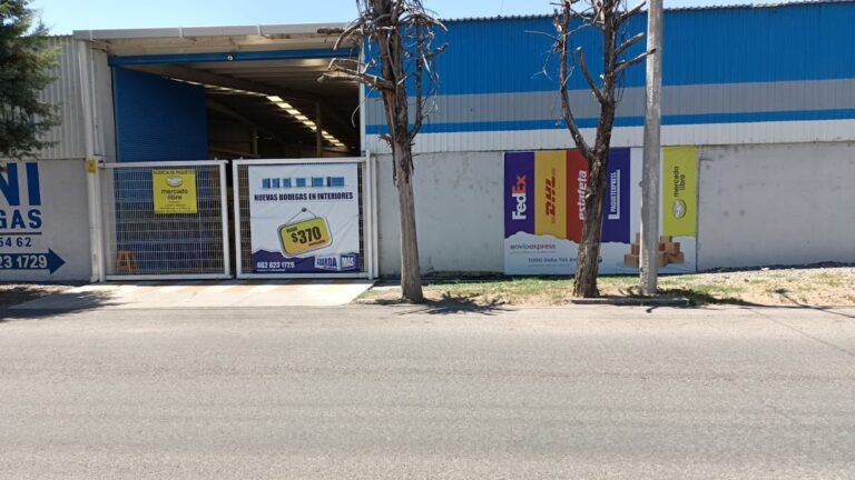 27749 envioexpress irapuato dhl fedex estafeta etc 768x432