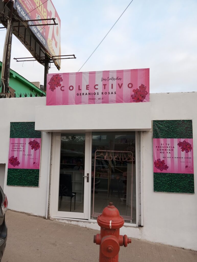 27992 colectivo geranios rosas 771x1024