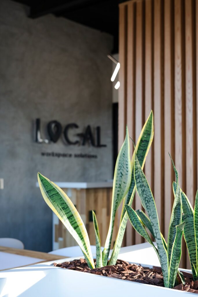 28077 local workspace solutions 683x1024