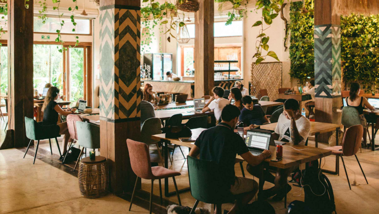 28258 digital jungle 768x433