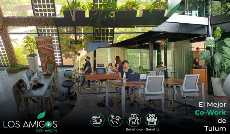 28274 coworking tulum business center 768x449