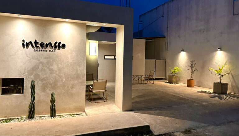 28398 intensso 768x437