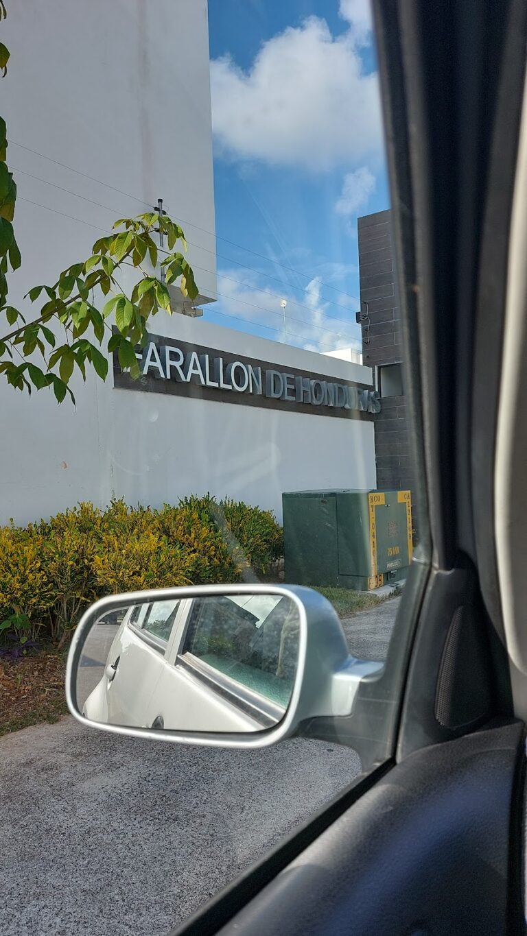 28993 escuela de manejo internacional playa del carmen 768x1365