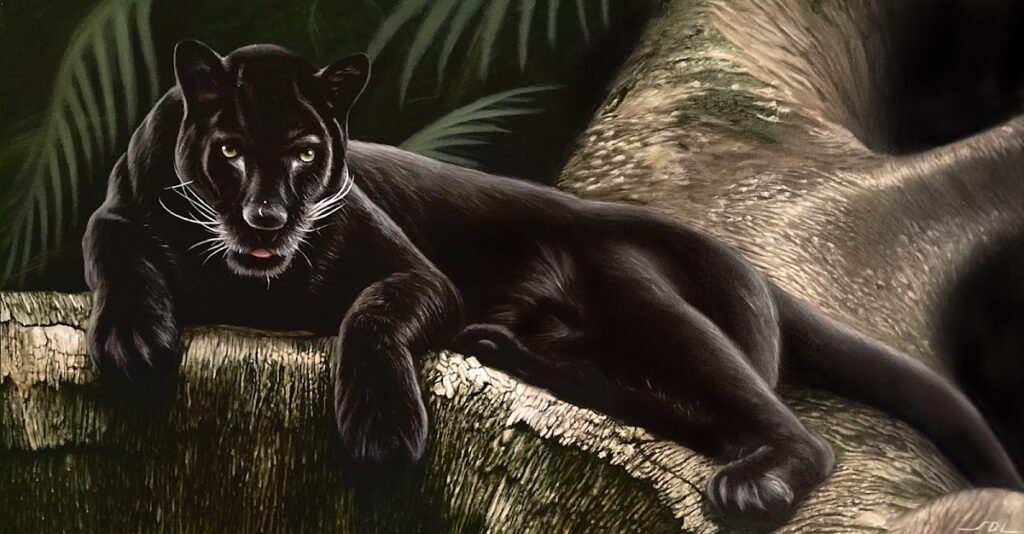 29511 sebastian de luna 8211 art studio 1024x534