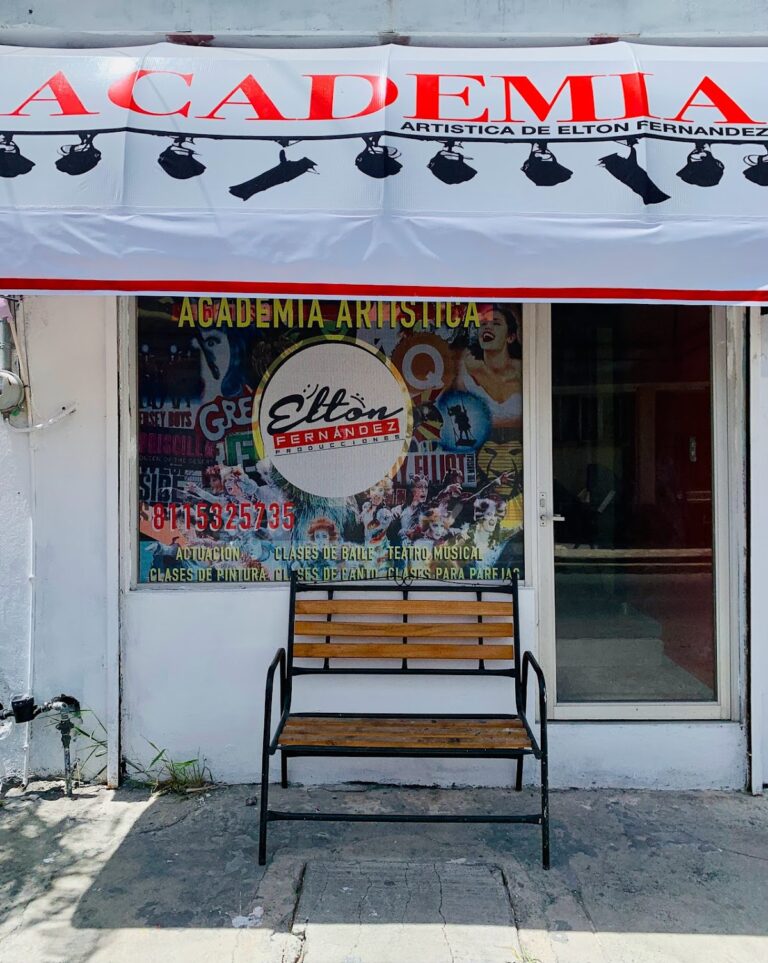 29692 academia artistica de elton fernandez 768x963