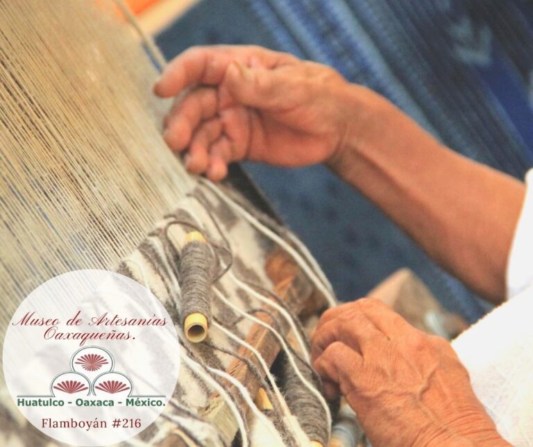 29696 museo de artesanias oaxaquenas 768x644