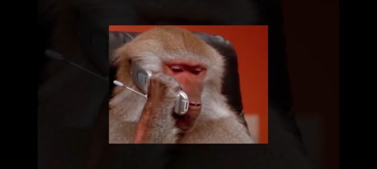 30069 escuela primaria francisco peralta galvez 768x346