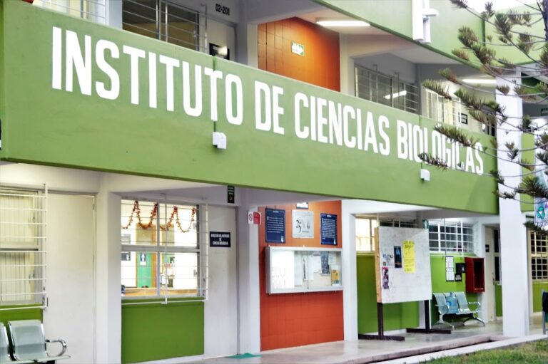 30425 universidad de ciencias y artes de chiapas 768x511