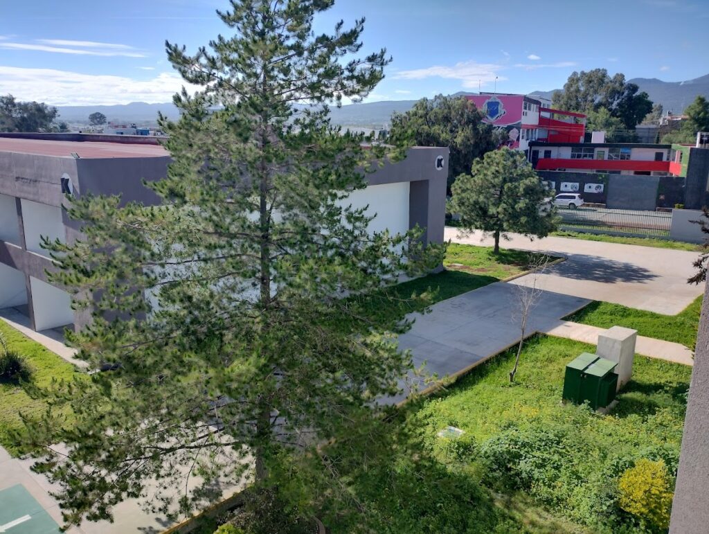 30521 universidad tecnologica de tulancingo 1024x771