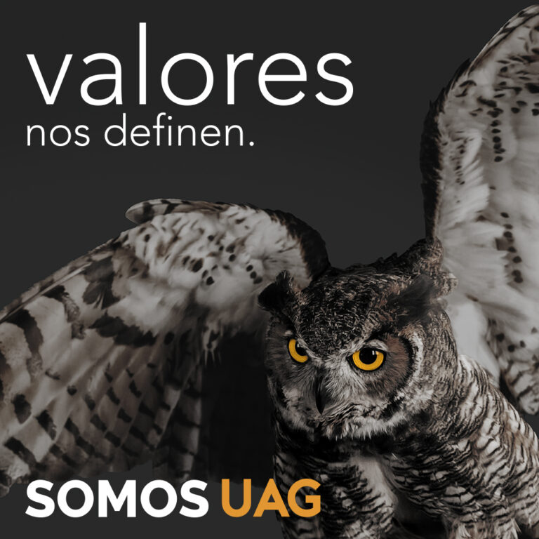 30563 universidad autonoma de guadalajara uag 8211 campus tabasco 768x768