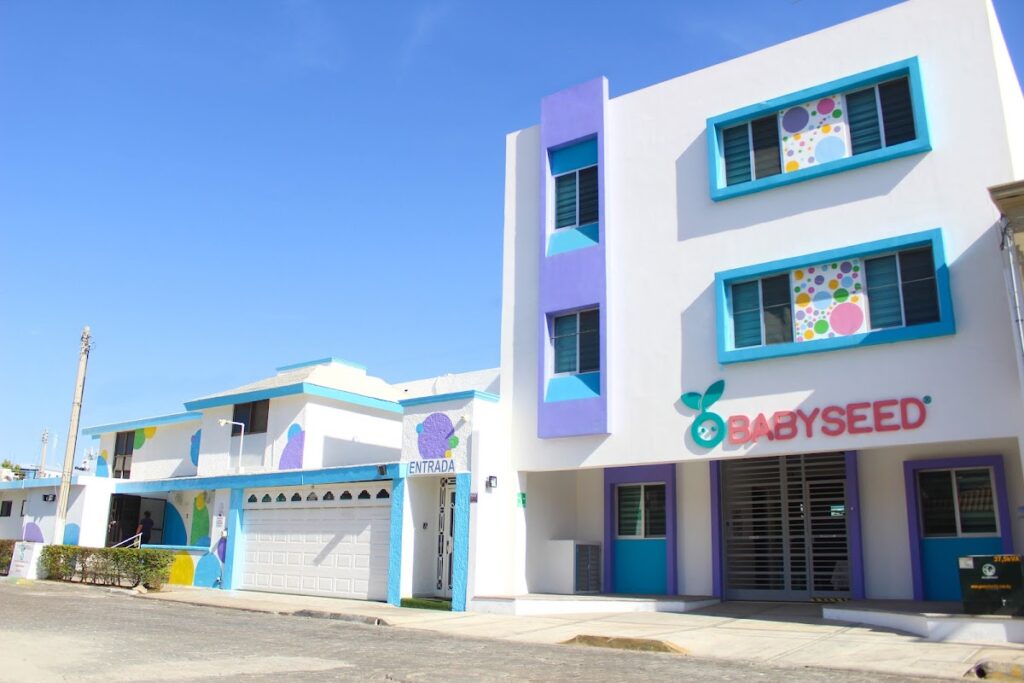 30886 babyseed 1024x683