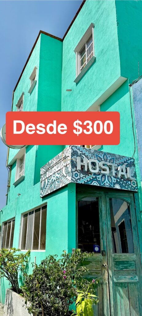 31561 hostal makea pachuca 462x1024
