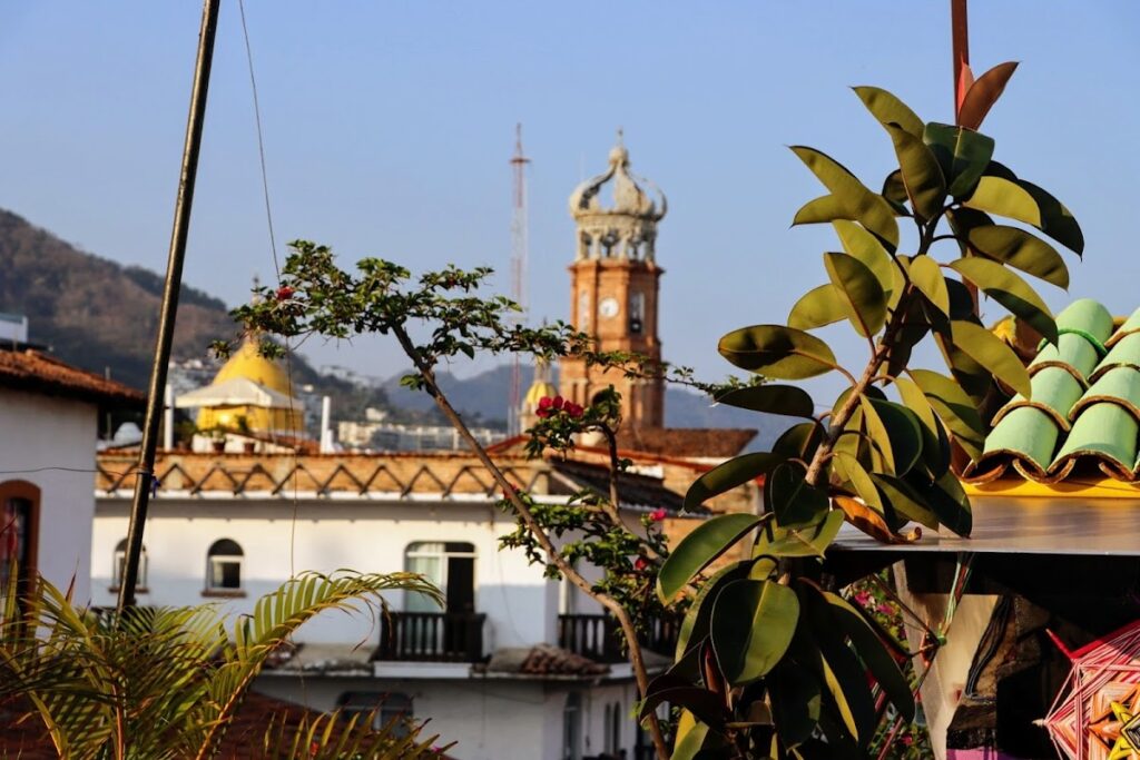 31583 hostel vallarta 1024x683