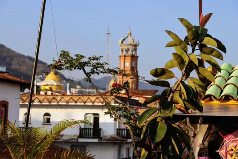 31583 hostel vallarta 768x512