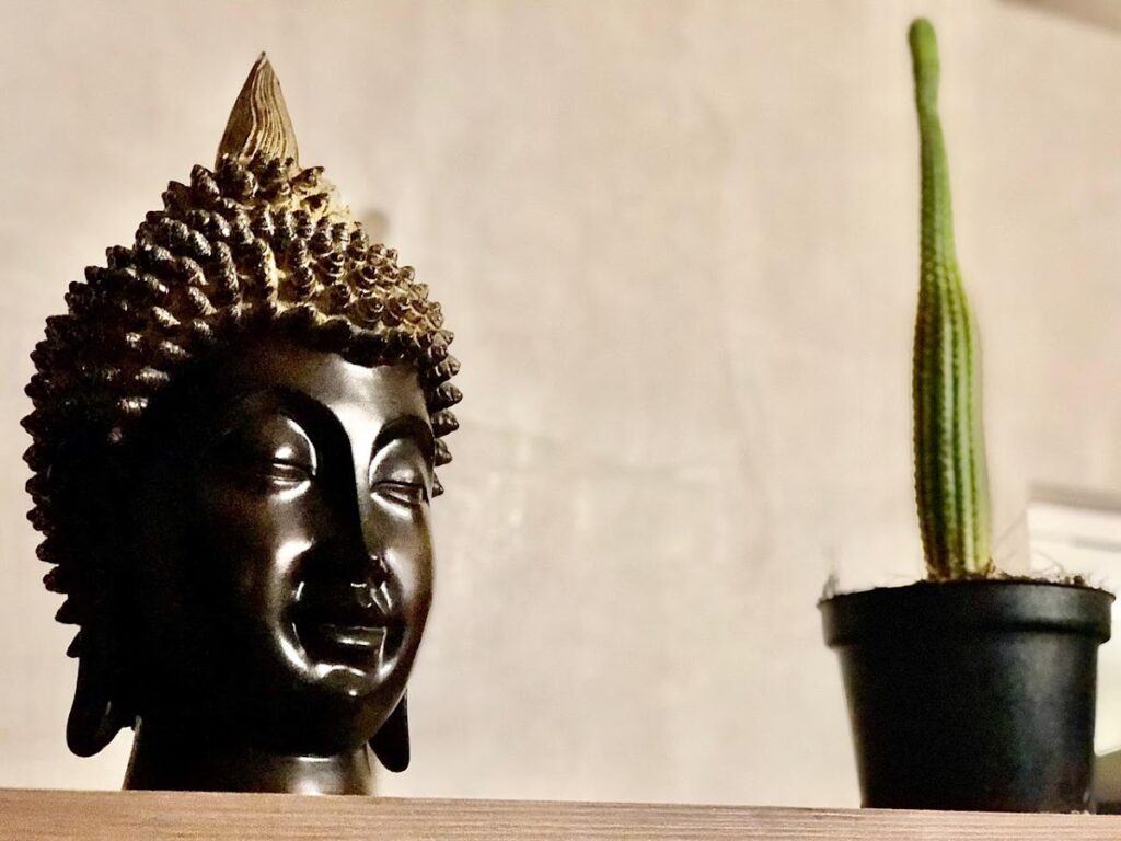 31730 zyanrooms 1024x768