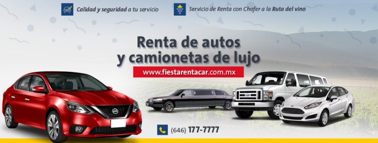 31801 fiesta renta car 768x292