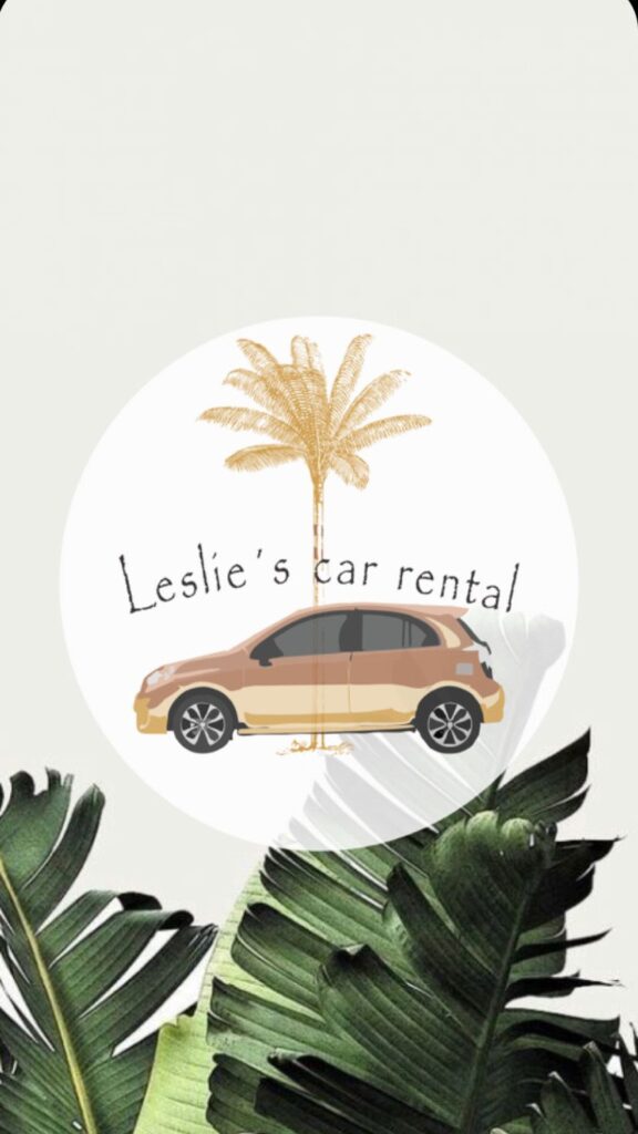 32026 leslies car rental 576x1024