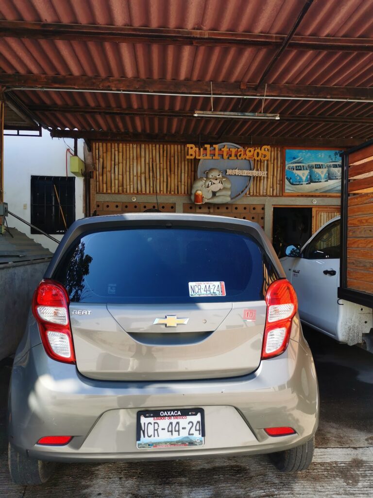 32032 bull cars rental 768x1024