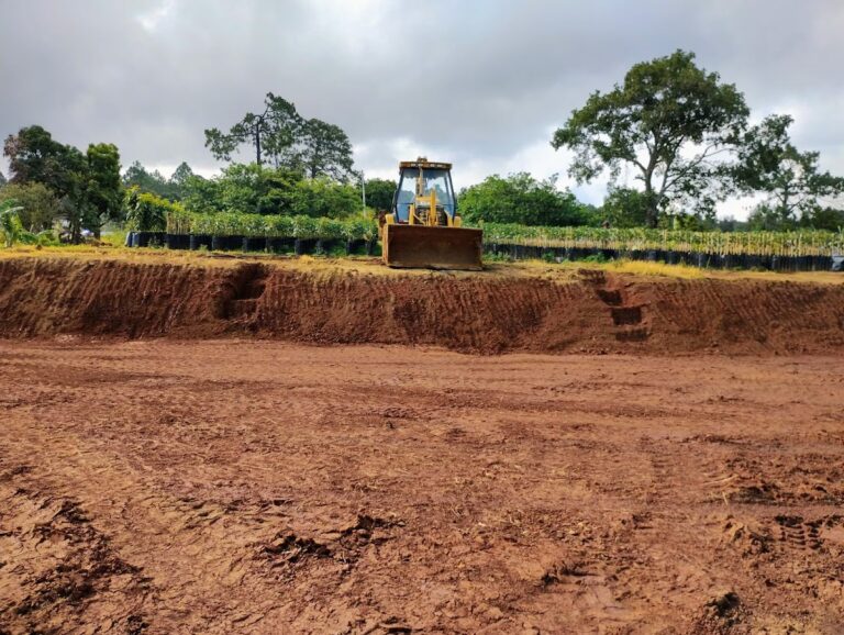 32377 renta de retroexcavadora vegat 768x578