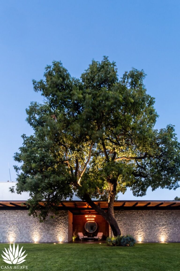 32753 casa agave eventos 768x1152