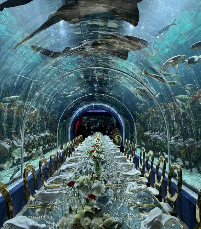 33046 banquetes palaceta 768x876