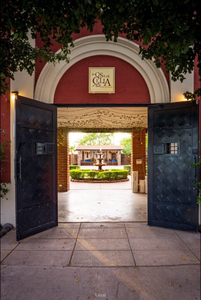 33287 salon de eventos la casa de celia jardin 685x1024