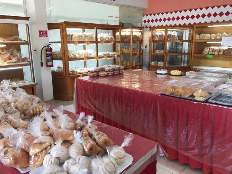 33681 panaderia la especial valladolid yucatan 768x576