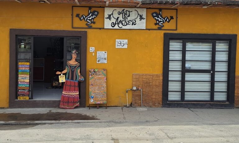 33925 art in amber jewelry shop in bucerias 768x462