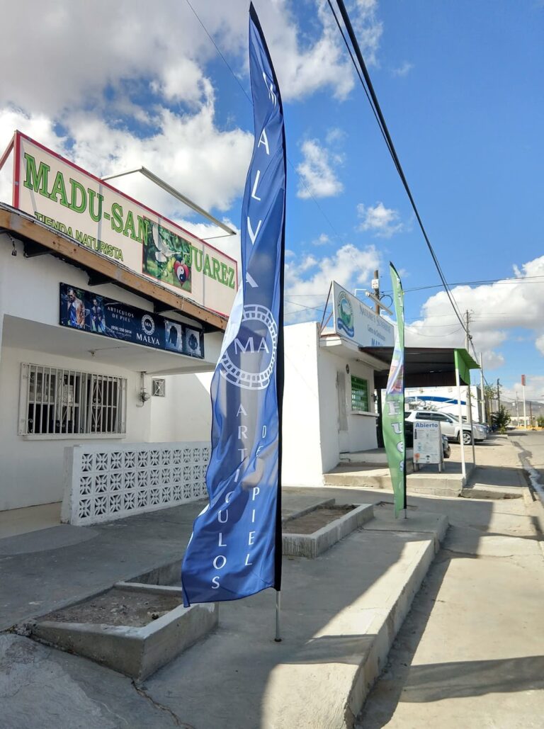 34139 duna articulos de piel 768x1029