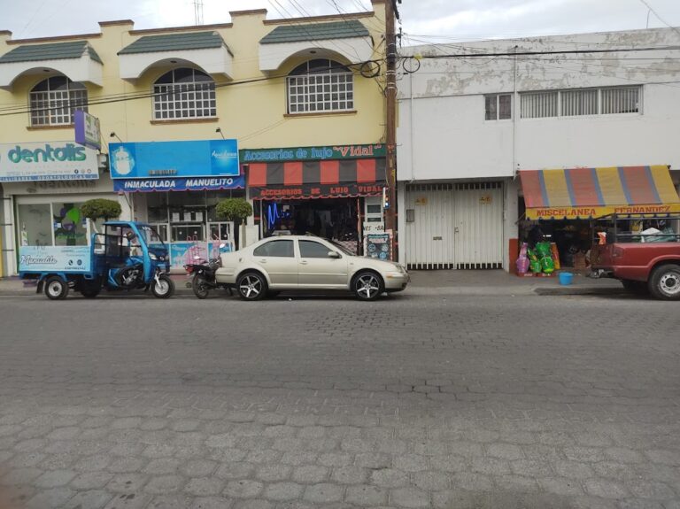 35025 accesorios de auto lujo vidal 768x575