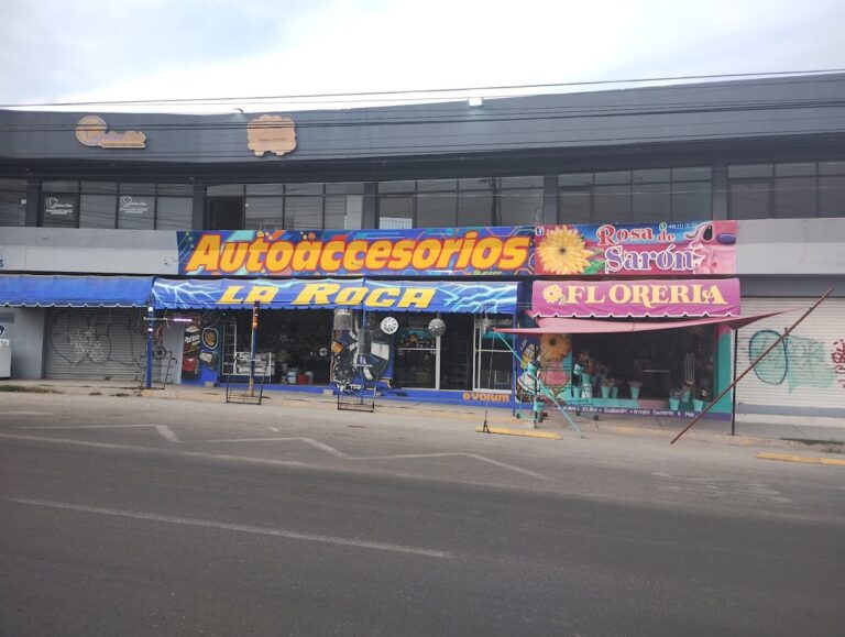 35030 auto accesorios 8220la roca8221 768x579