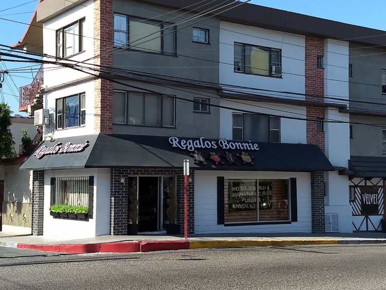 35163 regalos bonnie 768x576