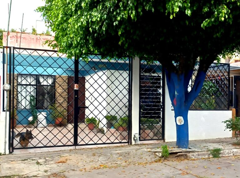 35320 regalos y sorpresas del angel 768x572