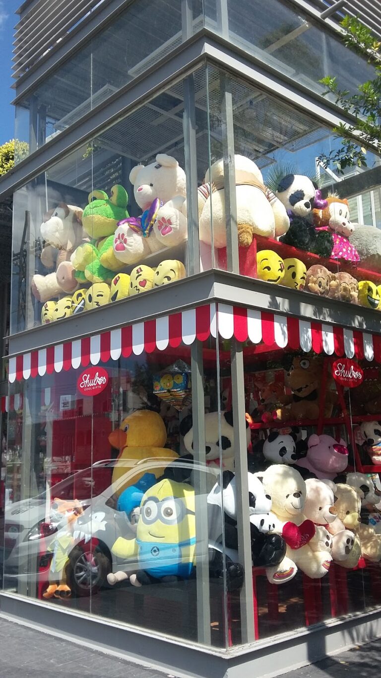 35447 shulos cool gifts 768x1365